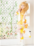 [Cosplay] New Pretty Cure Sunshine Gallery 1(161)